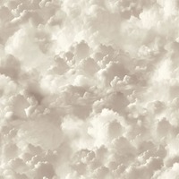 Vanilla Skies Wallpaper Neutral Arthouse 100189AH