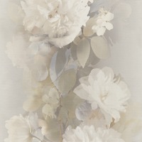 Aurora Floral Wallpaper Taupe Erismann 10513-27