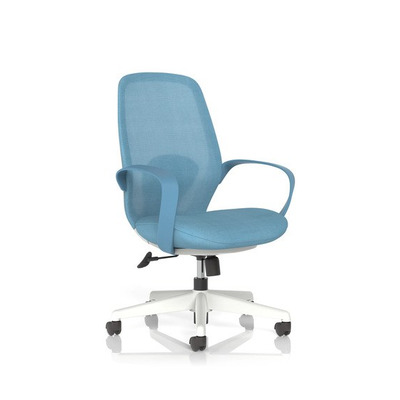 Ariel Mesh Task Chair