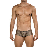Clever Moda Vortex Atlas Latin Boxer - Gold