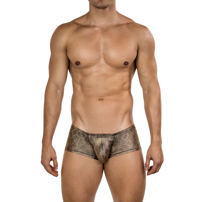 Clever Moda Vortex Atlas Latin Boxer - Gold