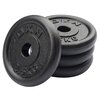 Image of DKN Cast Iron Standard Weight Plates