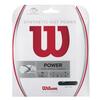 Image of Wilson Synthetic Gut Power 16 Tennis String Set