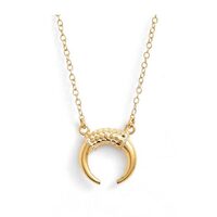 Image of Horn Necklace - Gold
