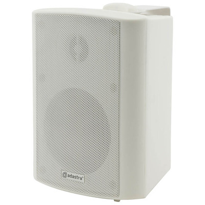 100 Volt Background Speaker 4" White