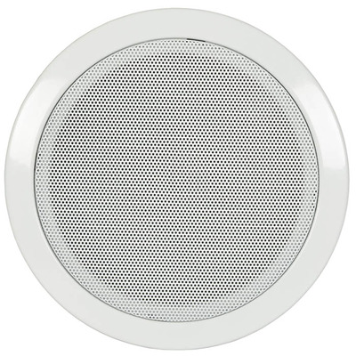 5.25" Ceiling Speaker with Fire dome