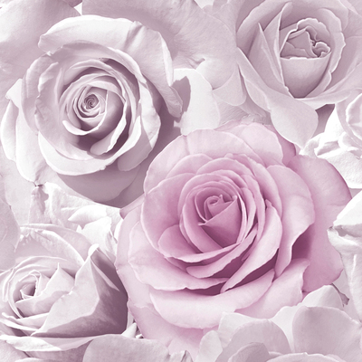 Madison Rose Glitter Floral Wallpaper Amethyst and Lilac Muriva 139522
