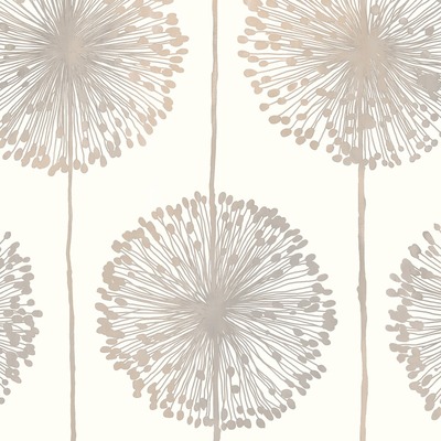 Dandelion Wallpaper Beige Muriva J04207