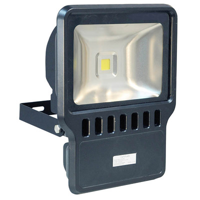 Exterior LED Flood - 100 Watt