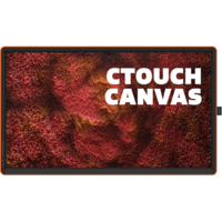 Image of CTouch Canvas 11072575 75" UHD Interactive Touchscreen in Regal O