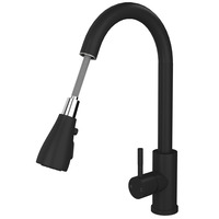 Image of TAP261I Kitchen Sink Mixer with Pull out Spray and Swivel Spout - Matt Black