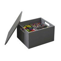 Toy Storage Box - the Tidy Books Sorting Box
