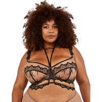Image of Playful Promises Clara Bra and Harness