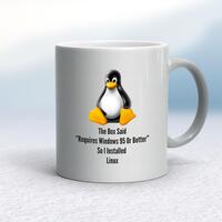 The Box Said Requires Windows 95 So I Installed Linux Mug – Silver, 10oz