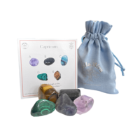Capricorn Zodiac Birthstones Crystal Gift Pack