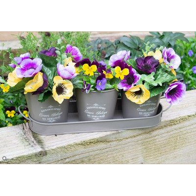 Set Of Three Vintage Collection Grey Metal Flower Pots With Tray