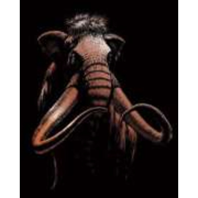 Royal Langnickel Engraving Art Kits - The Woolly Mammoth Copper Copf27