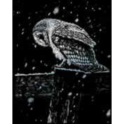 Snowfall At Night Owl Silver Foil Engraving Art Set Silf41