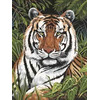 Tiger In Hiding A4 Painting By Numbers PJS75