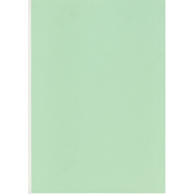 50 X Sheets A4 Light Pastel Green 240gsm Thick Art Craft & Hobby Card