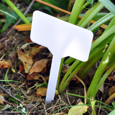 Pack Of Ten White Plastic Square Garden Plant Markers Labels