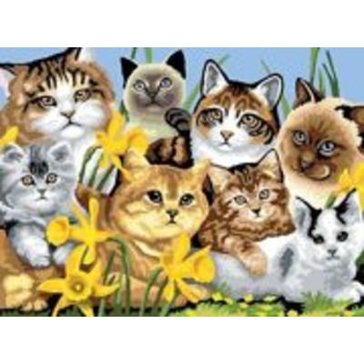 A3 Large Painting By Numbers Kit - Cats Montage Pjl6