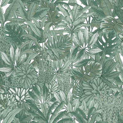 Lush Forest Wallpaper Green Muriva 205502