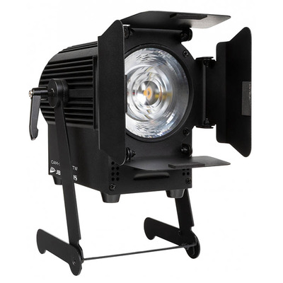 Cool White/Warm White 50W LED Theatre Spot