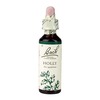 Image of Bach Flower Remedies Holly 20ml