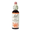 Image of Bach Flower Remedies Red Chestnut 20ml