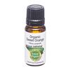 Image of Amour Natural Organic Sweet Orange Essential Oil - 10ml