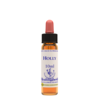Image of Healing Herbs Ltd Holly - 10ml