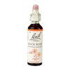 Image of Bach Flower Remedies Rock Rose 20ml