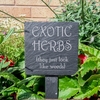 Image of Slate plant marker - Exotic herbs (they just look like weeds)