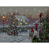 Fibre Optic LED Robins Christmas Canvas by Richard Macneil 40cm x 30cm
