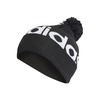 Adidas Pompom Beanie at Allens Swimwear