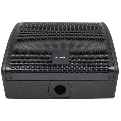 10"  Wedge Monitor Passive 250 Watts RMS 8 Ohm
