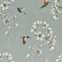 Image of Harlequin Amazilia Hummingbird Wallpaper French Grey and Stone HTEW112605