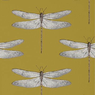 Harlequin Demoiselle Dragonfly Wallpaper Ochre / Grape HGAT111244
