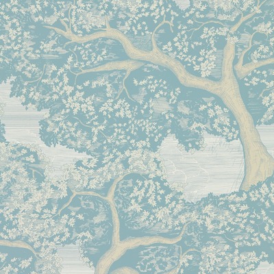 Harlequin Eternal Oak Wallpaper Sky Blue / First Light HC4W113023
