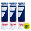 Image of Babolat Team Tennis Balls - 1 Dozen