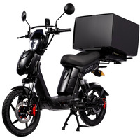 Eskuta SX-250 Series 4 Cargo Electric Bike