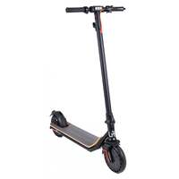 Li-Fe 350 HC Waterproof Folding Electric Scooter
