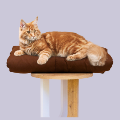 Cat Bed Mattress & Brown Cover - Cat Bedding Set – The Big Little Duvet Company