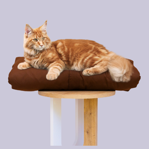 Cat Bed Mattress & Brown Cover - Cat Bedding Set