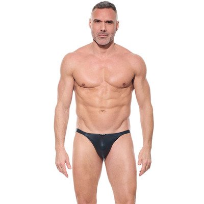 Image of Gregg Homme Afterlight Brief