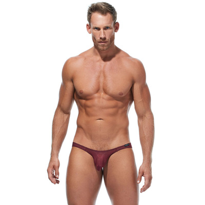 Image of Gregg Homme Torridz Brief - Burgundy