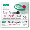Image of A.Vogel Bio-Propolis Cold Sore Ointment 2g
