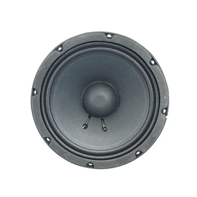100 Watt Bass Speaker Driver 8"