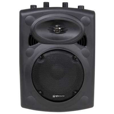 8 Inch 100 Watt Passive Speaker